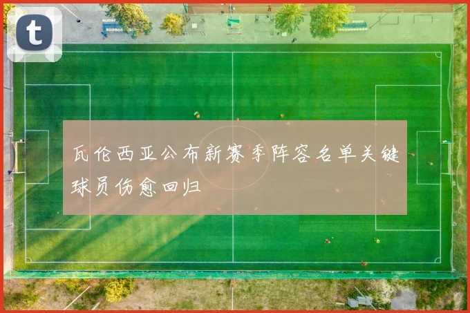 瓦伦西亚公布新赛季阵容名单关键球员伤愈回归