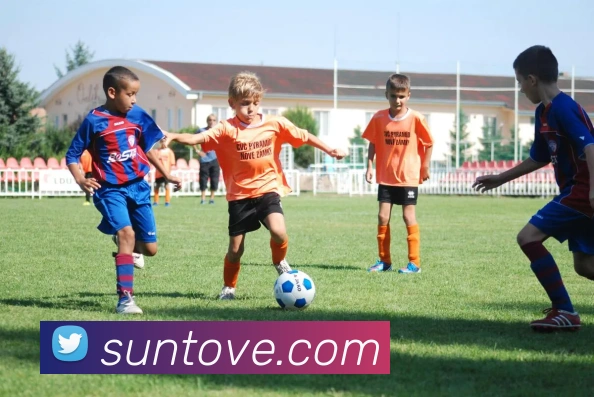 多媒体互动体验